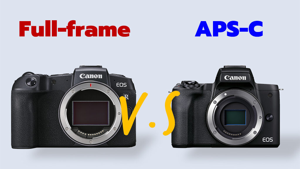 Full Frame or Crop Sensor Camera?